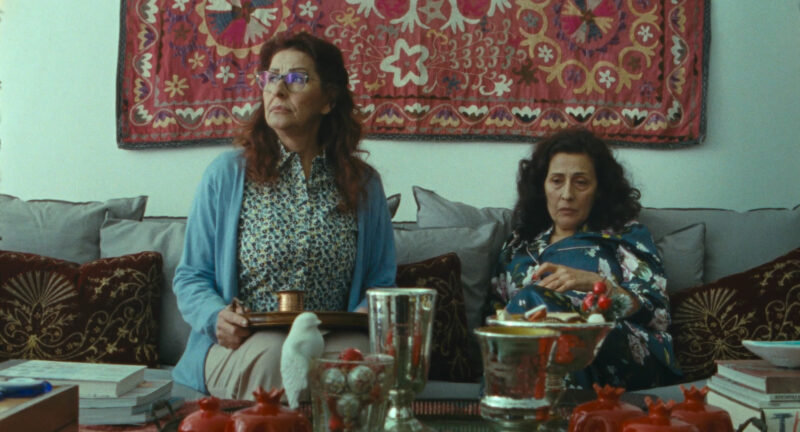 Okładka wydarzenia - DO ZOBACZENIA NA PLACU WOLNOŚCI: WIELKOPOLSKIE LATO FILMOWE - LETNIE CZUŁOŚCI