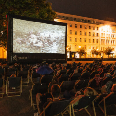 Okładka galerii "Kedi" I Plac Wolności 2023