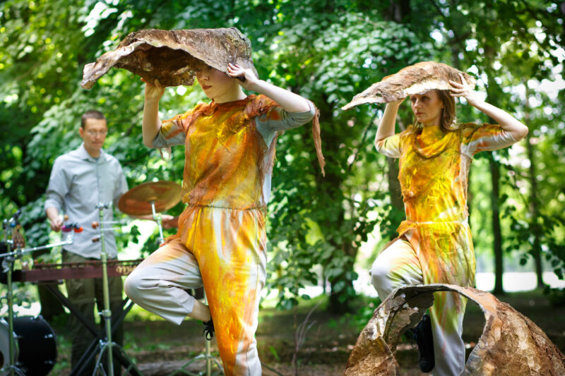 Okładka wydarzenia - "Ptasi Baj" Teatr Atofri