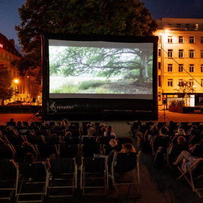 Okładka galerii "Serce dębu" I Plac Wolności 2023