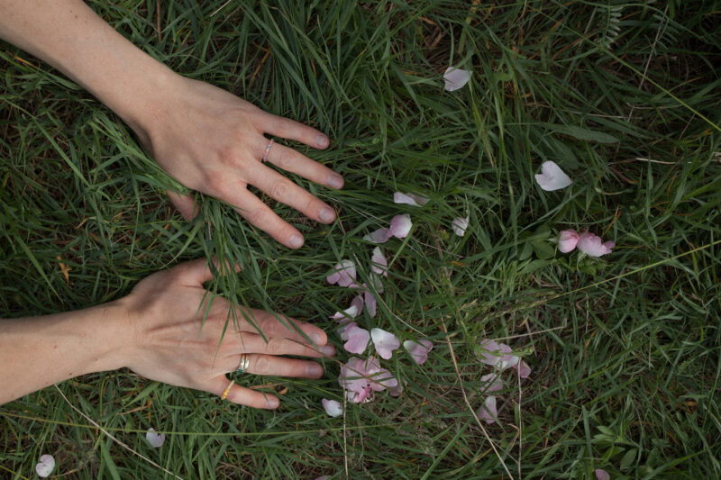Okładka wydarzenia - Warsztat Poznański bukiet dla Matki Boskiej Zielnej I warsztaty - Dziewczyny w naturze