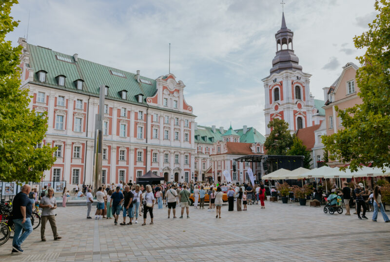 Zdjęcie 