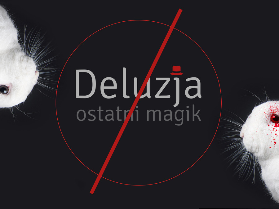 DELUZJA: OSTATNI MAGIK