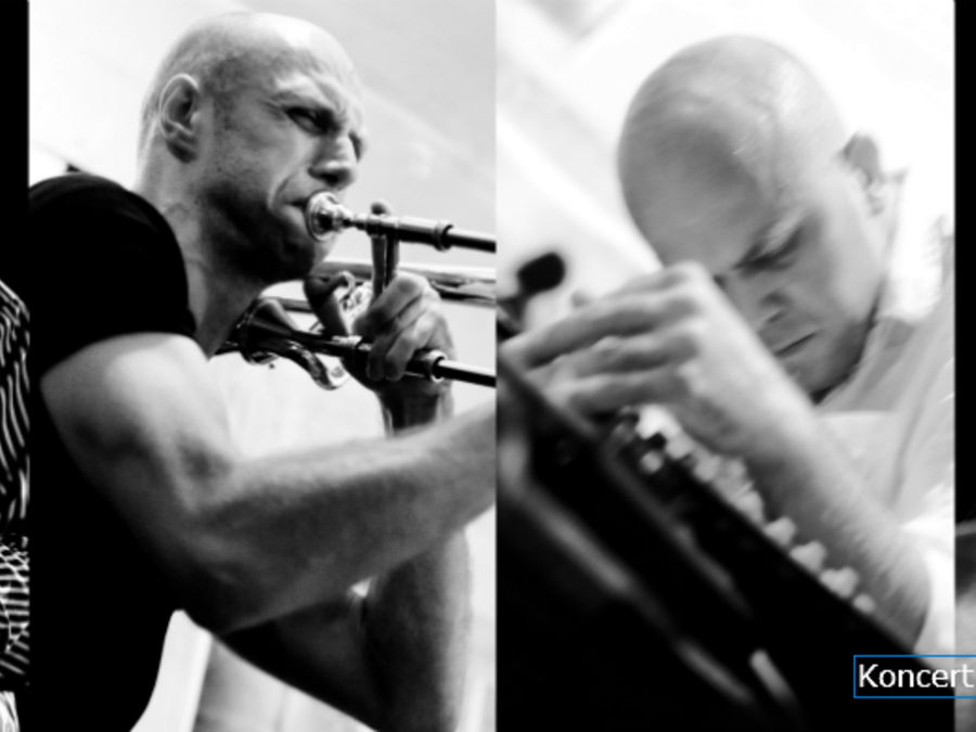 Okładka wydarzenia - Koncert Defibrillator feat. Mazzoll