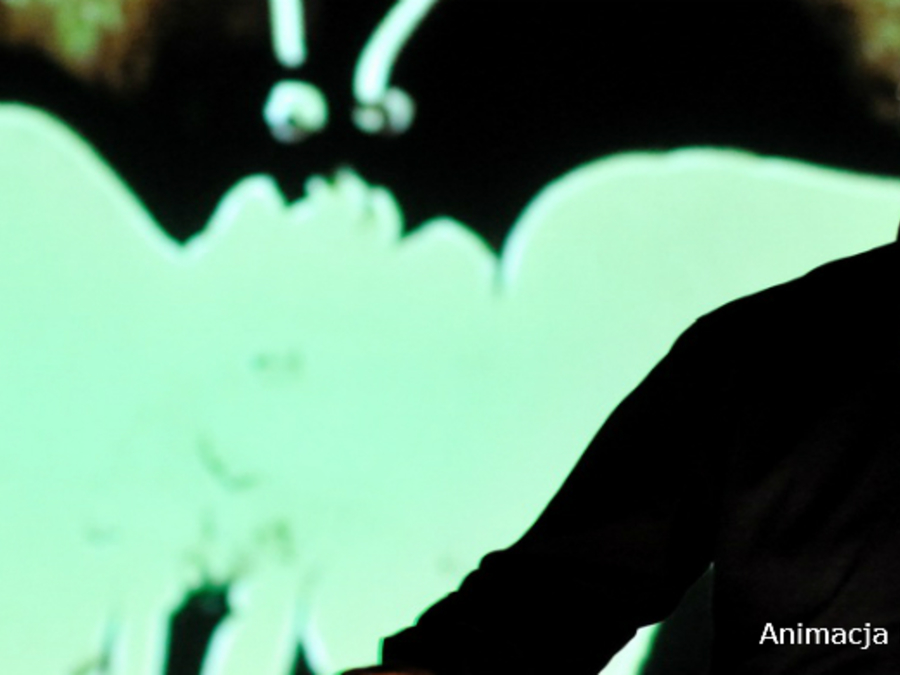 Okładka wydarzenia - Muzyka na Animatorze