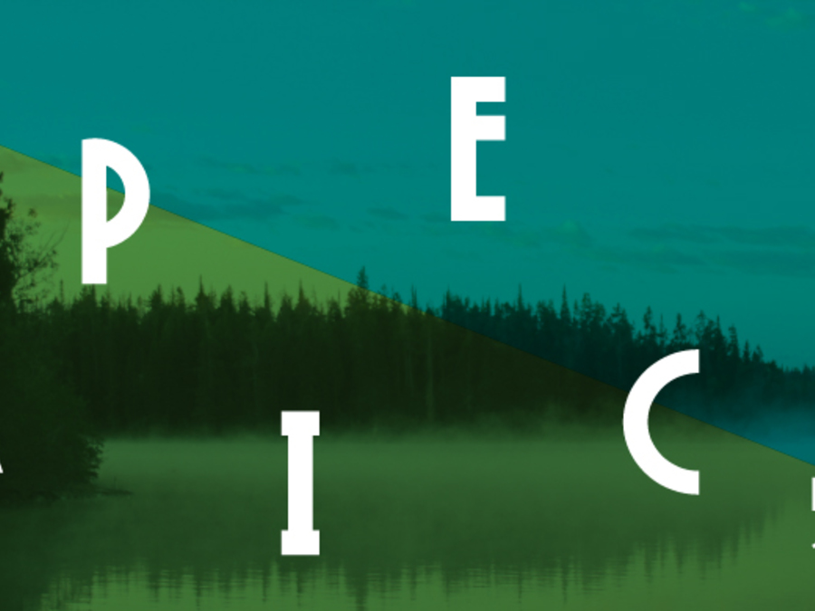 Okładka wydarzenia - OPEN MIC POZNAŃ | Śpieszmy się kochać ludzi...