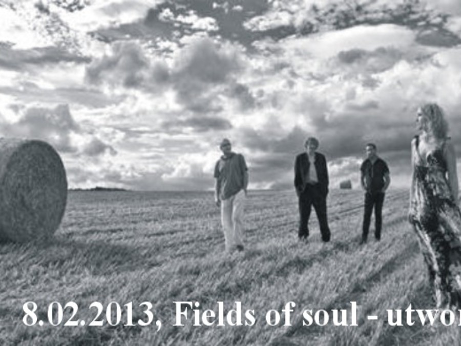 Okładka wydarzenia - Fields of Soul - Live Experience